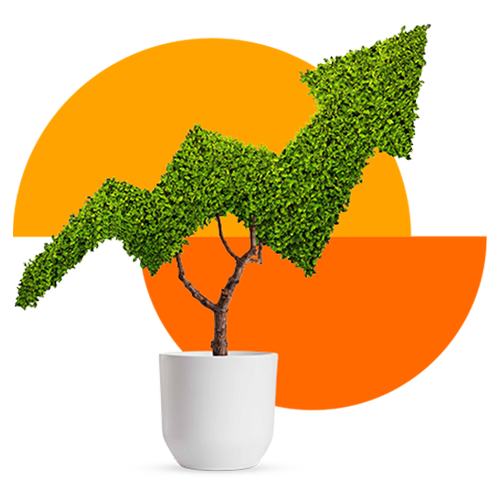 lifestages auto kiwisaver scheme tree